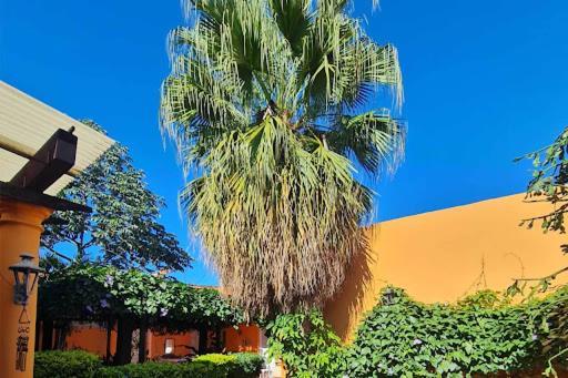 Hostal Paradiso Assunção Exterior foto